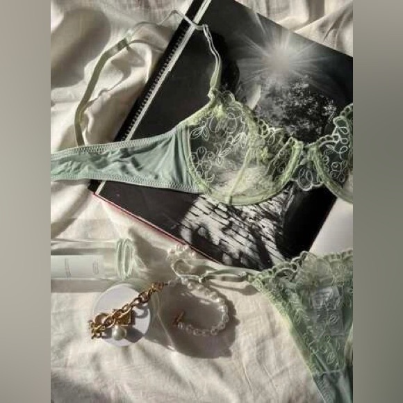 Pure Desire Sage Green 🌿 sheer/mesh embroidery Bra & thong Medium🔥Never worn🔥 - Picture 10 of 11